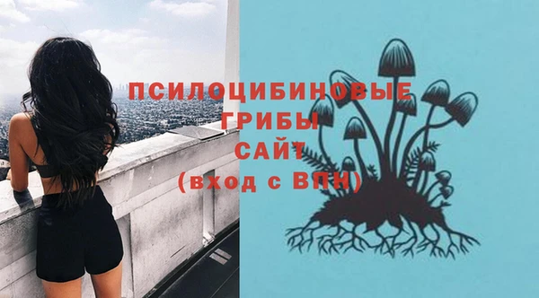 герыч Алзамай